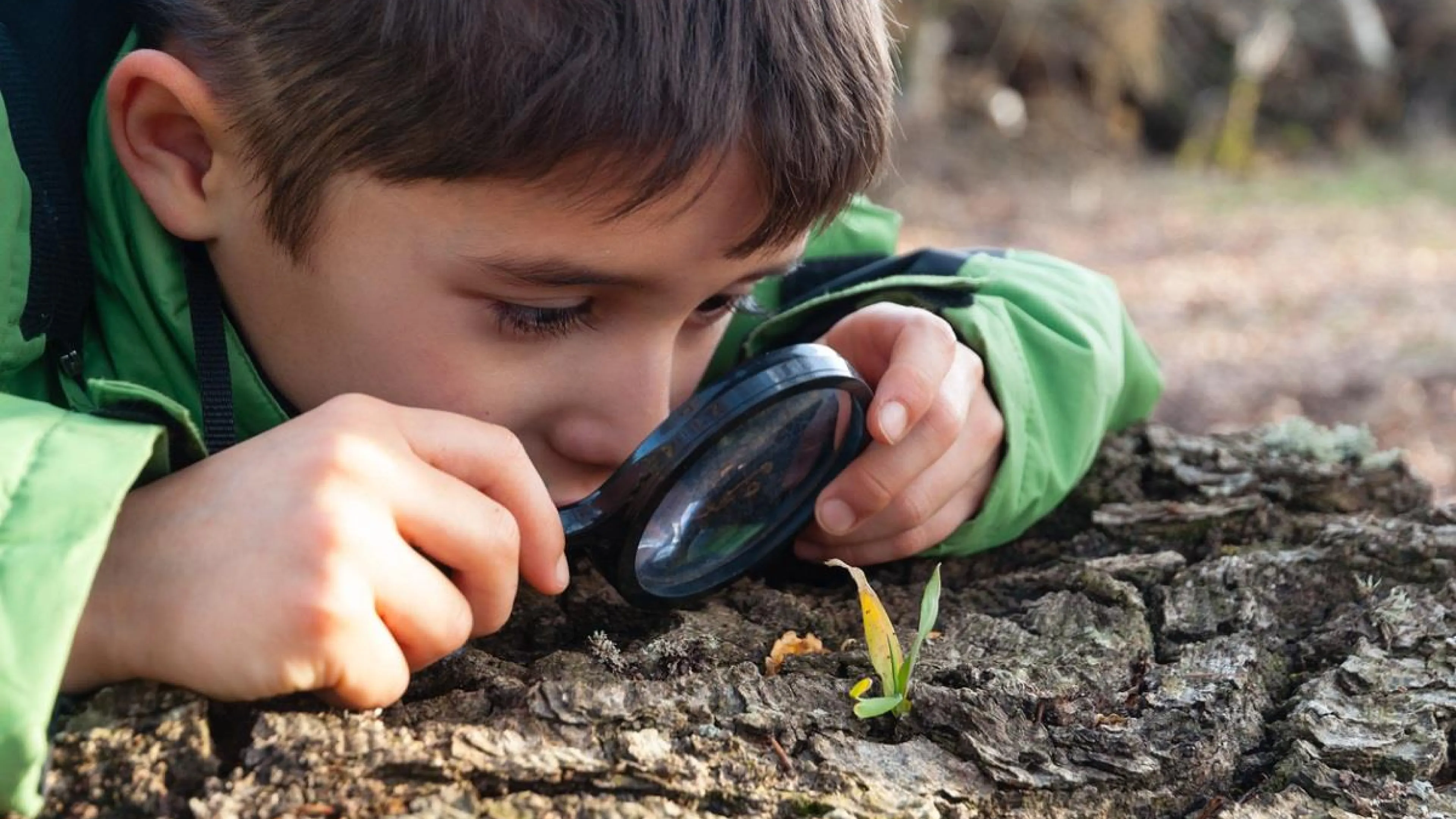 Boy looking at nature with magnifier